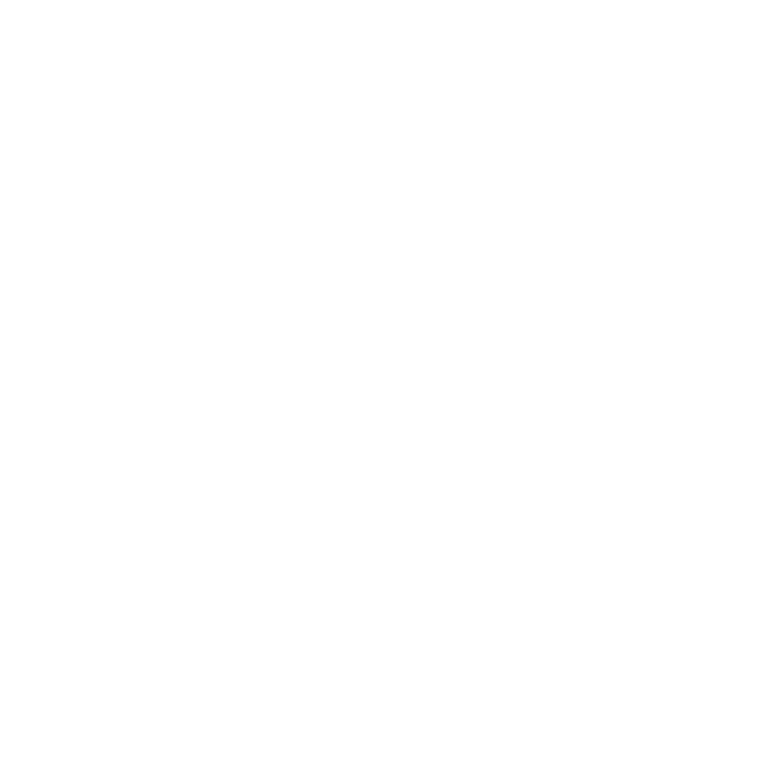 logo it lens firma z usługami informatycznymi